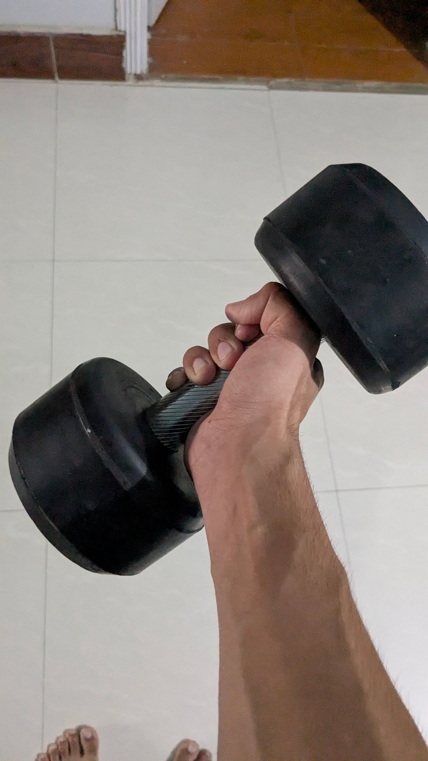 SINGLE) AMBALA FITNESS High Quality Rubber dumbell